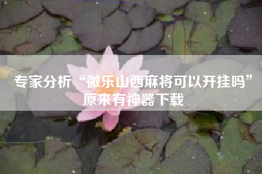 专家分析“微乐山西麻将可以开挂吗	”原来有神器下载