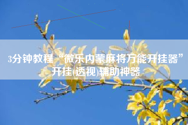 3分钟教程“微乐内蒙麻将万能开挂器	”开挂(透视)辅助神器