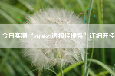 今日实测“wepoker透视挂插件”详细开挂