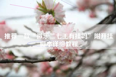 推荐一款“微乐二七王有挂吗”附开挂脚本详细教程