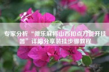 专家分析“微乐麻将山西扣点万能开挂器	”详细分享装挂步骤教程