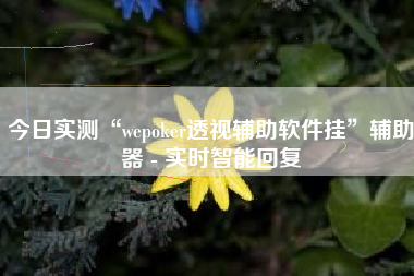 今日实测“wepoker透视辅助软件挂”辅助器 - 实时智能回复