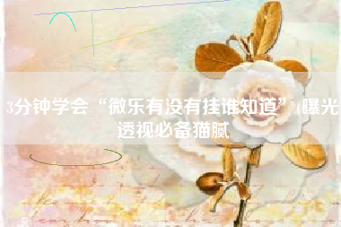 3分钟学会“微乐有没有挂谁知道”(曝光透视必备猫腻