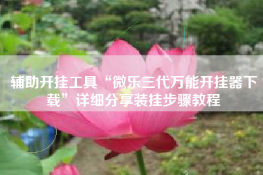 辅助开挂工具“微乐三代万能开挂器下载”详细分享装挂步骤教程