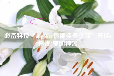 必备科技“appoker透视挂多少钱”开挂(透视)辅助神器