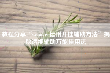 教程分享“wepoker德州开挂辅助方法”揭秘透视辅助万能挂用法