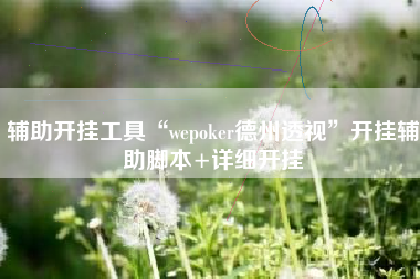 辅助开挂工具“wepoker德州透视	”开挂辅助脚本+详细开挂