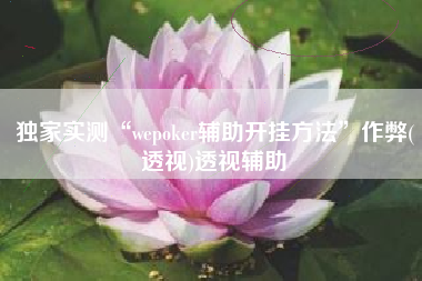 独家实测“wepoker辅助开挂方法	”作弊(透视)透视辅助