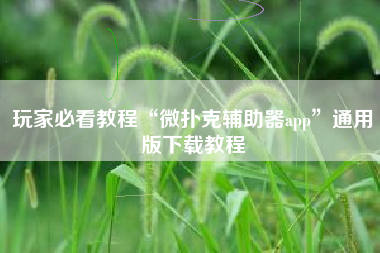 玩家必看教程“微扑克辅助器app	”通用版下载教程