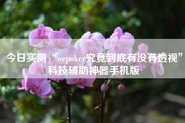 今日实测“wepoker究竟到底有没有透视”科技辅助神器手机版
