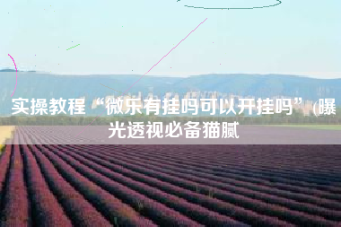 实操教程“微乐有挂吗可以开挂吗	”(曝光透视必备猫腻