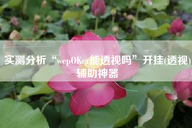 实测分析“wepOKer能透视吗	”开挂(透视)辅助神器