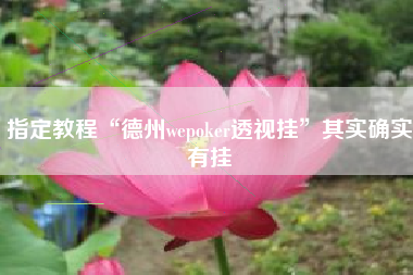 指定教程“德州wepoker透视挂”其实确实有挂