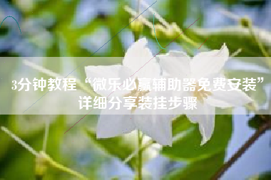 3分钟教程“微乐必赢辅助器免费安装”详细分享装挂步骤