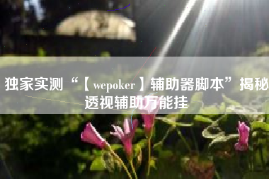 独家实测“【wepoker】辅助器脚本”揭秘透视辅助万能挂