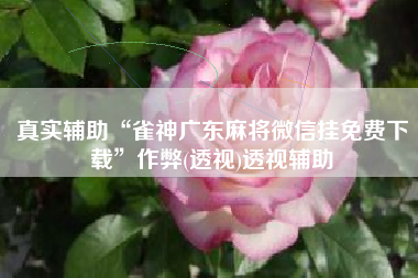 真实辅助“雀神广东麻将微信挂免费下载”作弊(透视)透视辅助