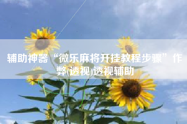 辅助神器“微乐麻将开挂教程步骤”作弊(透视)透视辅助