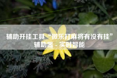 辅助开挂工具“微乐打麻将有没有挂”辅助器 - 实时智能