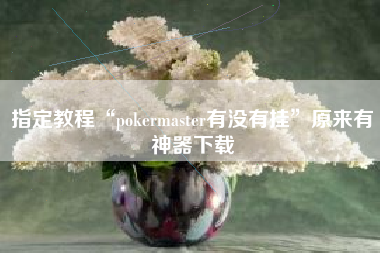 指定教程“pokermaster有没有挂”原来有神器下载