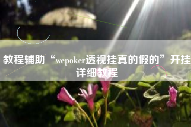 教程辅助“wepoker透视挂真的假的	”开挂详细教程