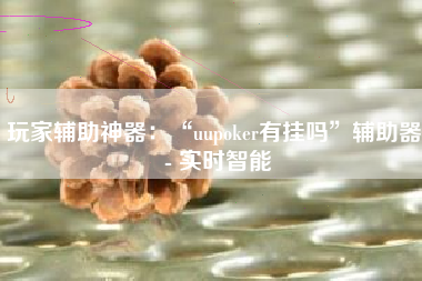 玩家辅助神器：“uupoker有挂吗”辅助器 - 实时智能
