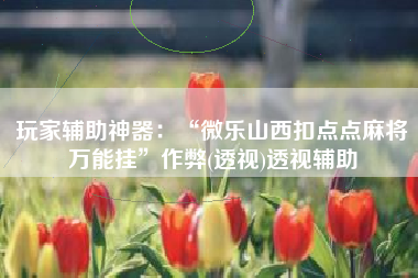 玩家辅助神器：“微乐山西扣点点麻将万能挂”作弊(透视)透视辅助