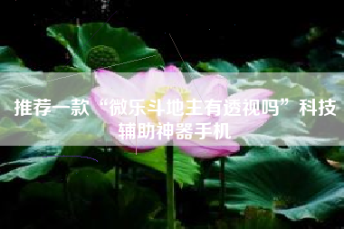 推荐一款“微乐斗地主有透视吗”科技辅助神器手机