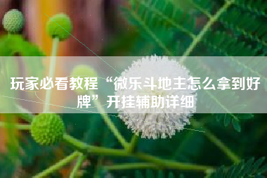 玩家必看教程“微乐斗地主怎么拿到好牌	”开挂辅助详细