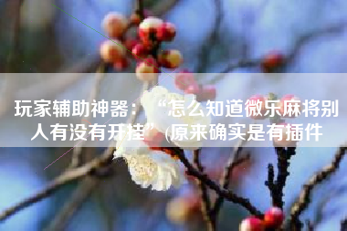 玩家辅助神器：“怎么知道微乐麻将别人有没有开挂”(原来确实是有插件