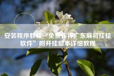 安装程序教程“免费雀神广东麻将挂挂软件”附开挂脚本详细教程