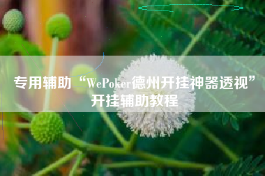 专用辅助“WePoker德州开挂神器透视”开挂辅助教程