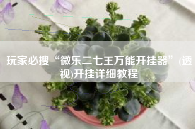 玩家必搜“微乐二七王万能开挂器	”(透视)开挂详细教程