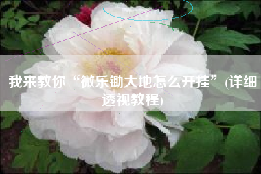 我来教你“微乐锄大地怎么开挂	”(详细透视教程)