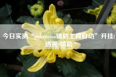 今日实测“pokemmo辅助工具自动”开挂(透视)辅助