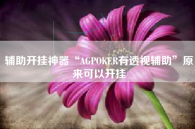 辅助开挂神器“AGPOKER有透视辅助”原来可以开挂