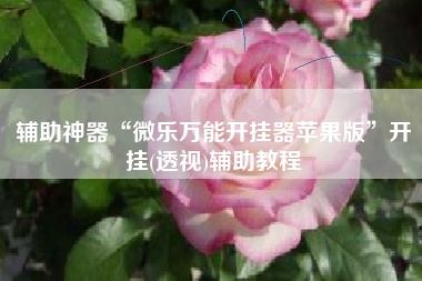 辅助神器“微乐万能开挂器苹果版”开挂(透视)辅助教程