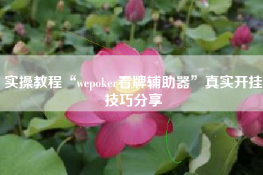 实操教程“wepoker看牌辅助器”真实开挂技巧分享