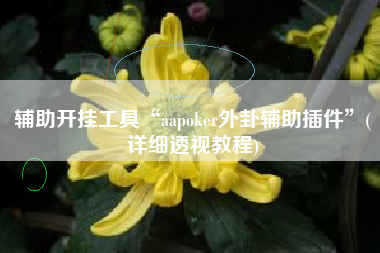辅助开挂工具“aapoker外卦辅助插件”(详细透视教程)