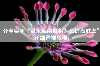 分享实测“微乐海南麻将怎么提高胜率”(详细透视教程)