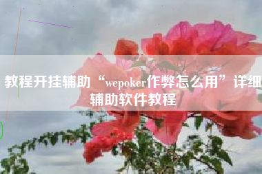 教程开挂辅助“wepoker作弊怎么用	”详细辅助软件教程