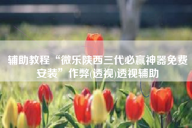 辅助教程“微乐陕西三代必赢神器免费安装	”作弊(透视)透视辅助