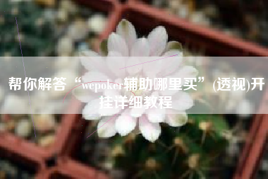 帮你解答“wepoker辅助哪里买”(透视)开挂详细教程