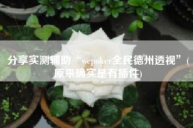 分享实测辅助“wepoker全民德州透视”(原来确实是有插件)