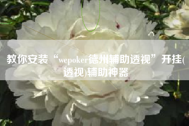 教你安装“wepoker德州辅助透视	”开挂(透视)辅助神器