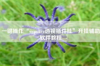 一键操作“wepoker透视插件挂”开挂辅助软件教程