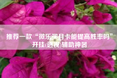 推荐一款“微乐买月卡能提高胜率吗”开挂(透视)辅助神器