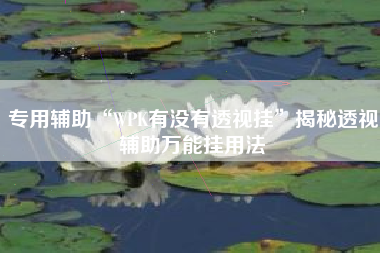 专用辅助“WPK有没有透视挂”揭秘透视辅助万能挂用法