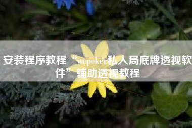 安装程序教程“wepoker私人局底牌透视软件	”辅助透视教程