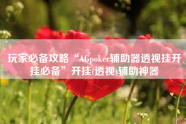 玩家必备攻略“AGpoker辅助器透视挂开挂必备”开挂(透视)辅助神器