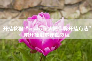 开挂教程“wepoker私人局作弊开挂方法”附开挂脚本详细教程